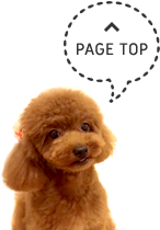 pagetop