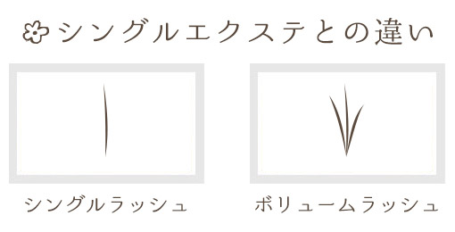 シングルエクステとの違い